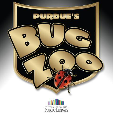 Shield in gold and black 