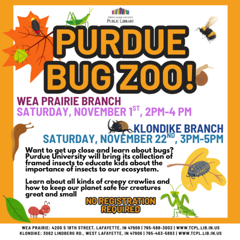 a calendar graphic for the November Purdue Bug Zoo, featuring illustrations of various bugs (insects, isopods, mollusks etc) with autumn leaves in the background.