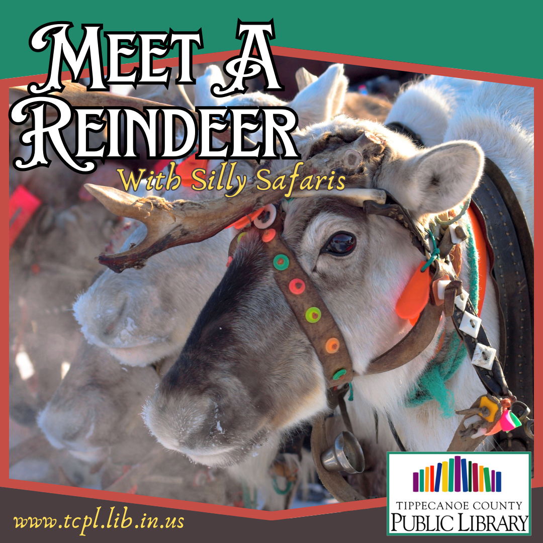 Meet a Reindeer with Silly Safaris.  Image: Reindeer. Text: www.tcpl.lib.in.us