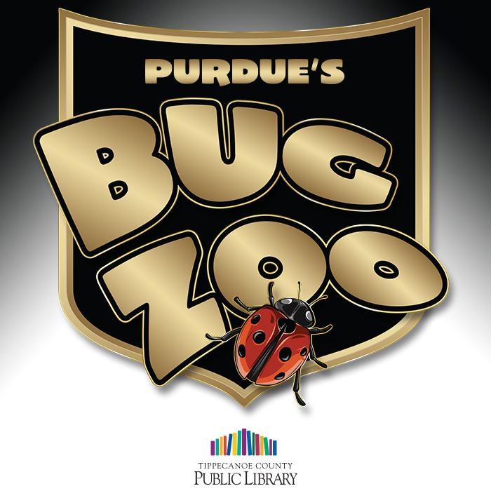 Shield in gold and black 